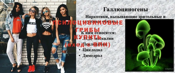 герыч Абаза