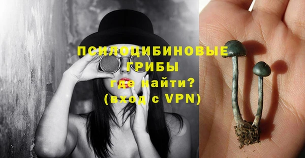 гидра Абдулино